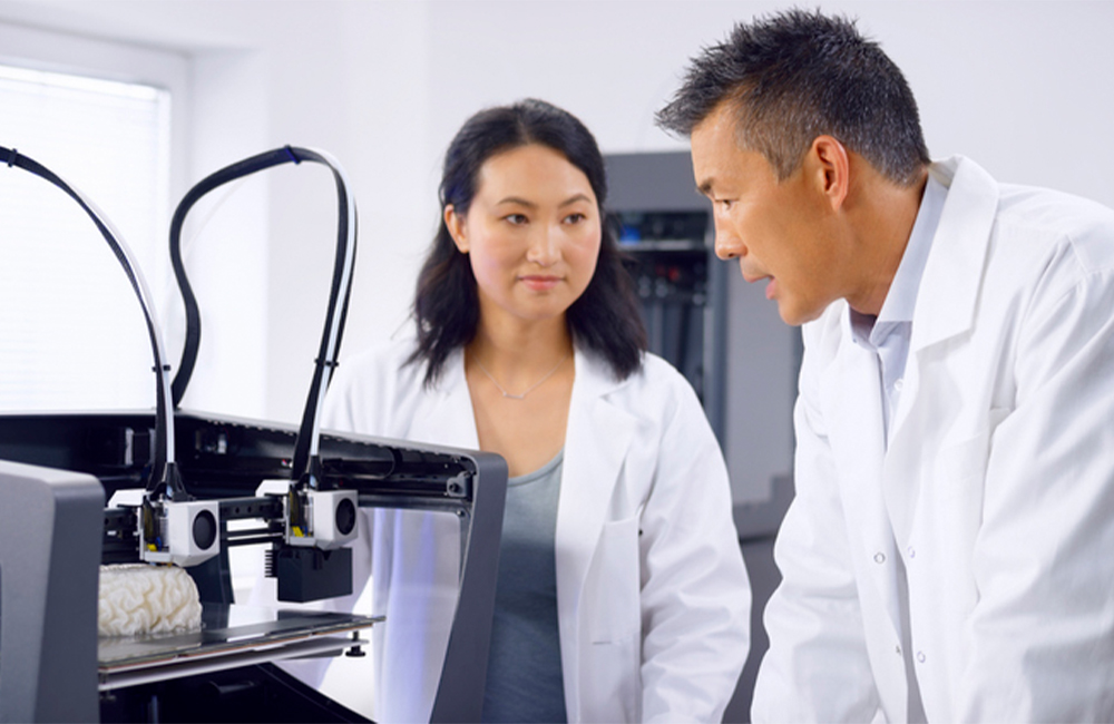 Male and female biomedical engineers talking about 3D brain model while standing near 3D printer.