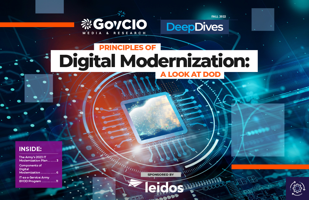 Principles of Digital Modernization